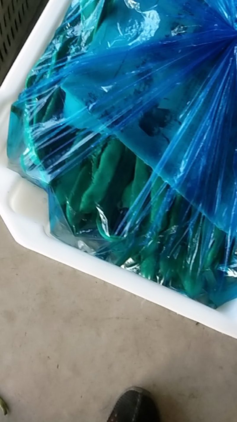 应县各种蔬菜