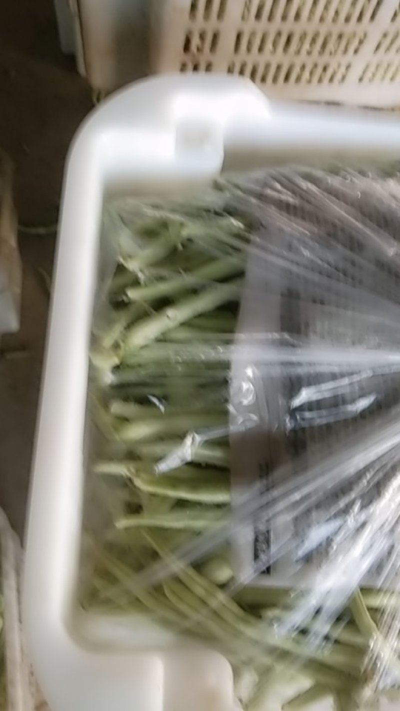 应县各种蔬菜