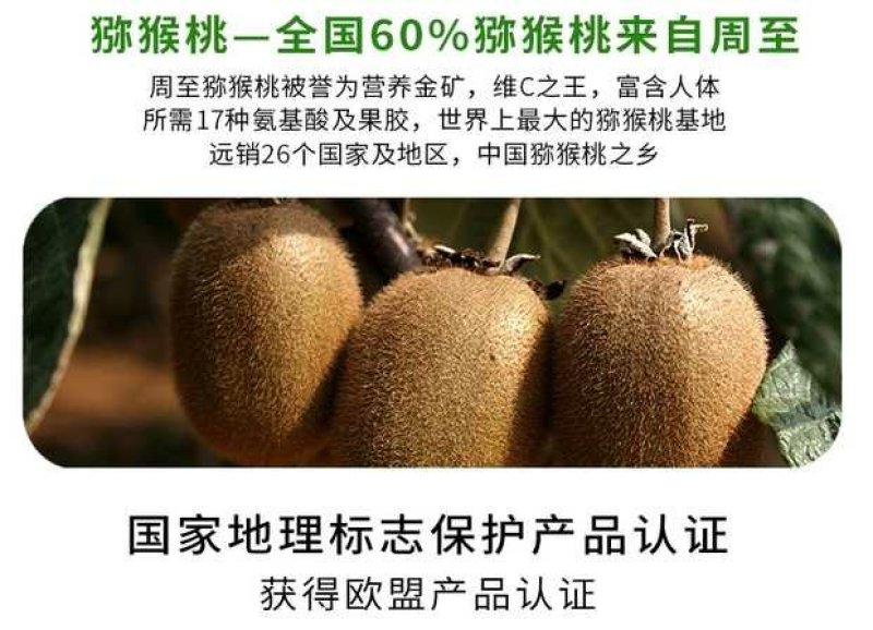 周至徐香猕猴桃