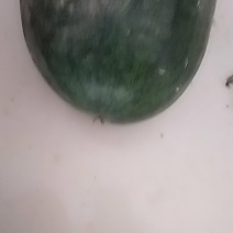 黑皮冬瓜