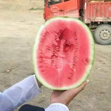 宁夏硒砂瓜