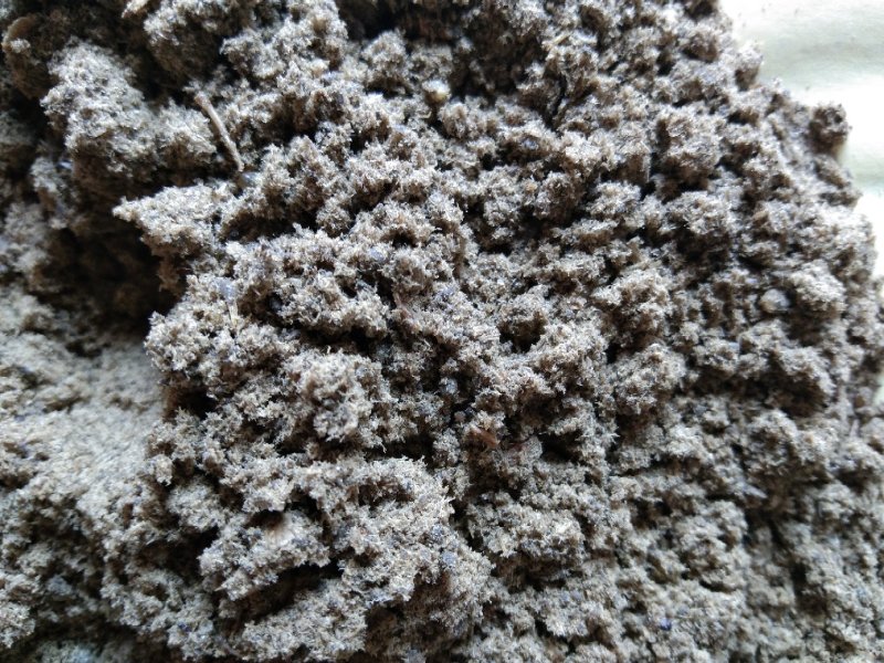 优质鱼粉代理港口大量库存巴拿马进口鱼粉批发保质量原装货