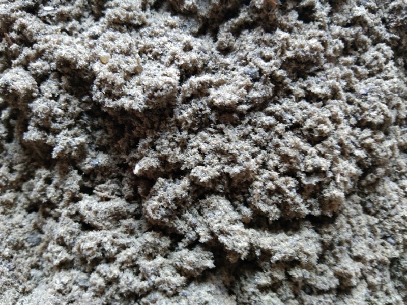 优质鱼粉代理港口大量库存巴拿马进口鱼粉批发保质量原装货