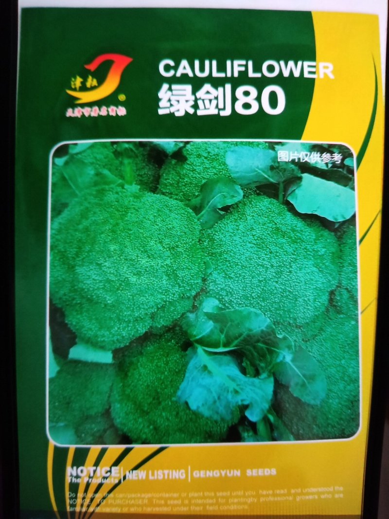 西兰花种子，青秀进口品绿剑三号秋季中早熟西兰花种子品种，