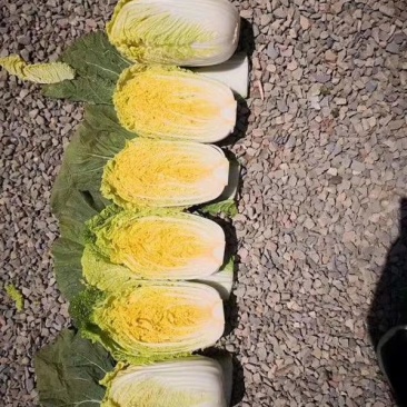 黄心白菜，玲珑黄，净菜4.5.6.斤无任何病虫害