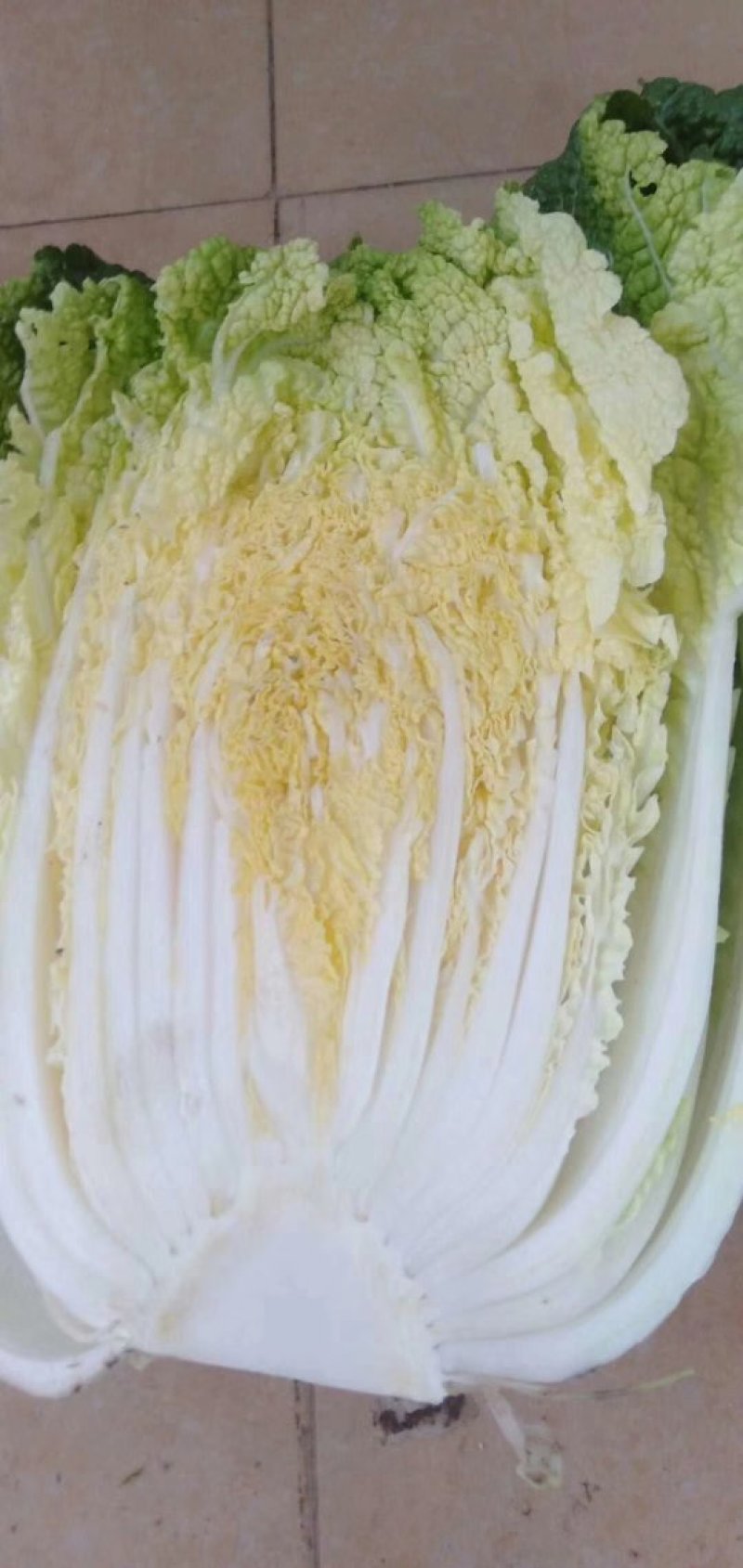 黄心白菜，玲珑黄，净菜4.5.6.斤无任何病虫害