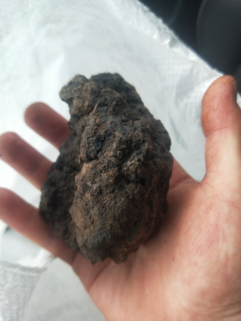 血灵脂正品猴月经血供应上千种中药材批发零售量大从优