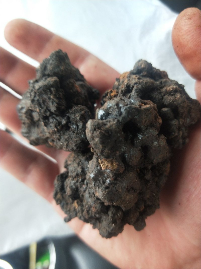 血灵脂正品猴月经血供应上千种中药材批发零售量大从优