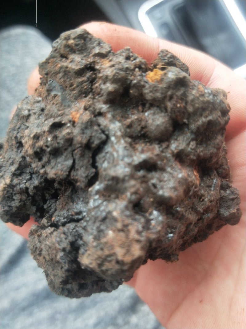 血灵脂正品猴月经血供应上千种中药材批发零售量大从优