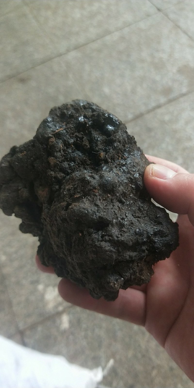 血灵脂正品猴月经血供应上千种中药材批发零售量大从优