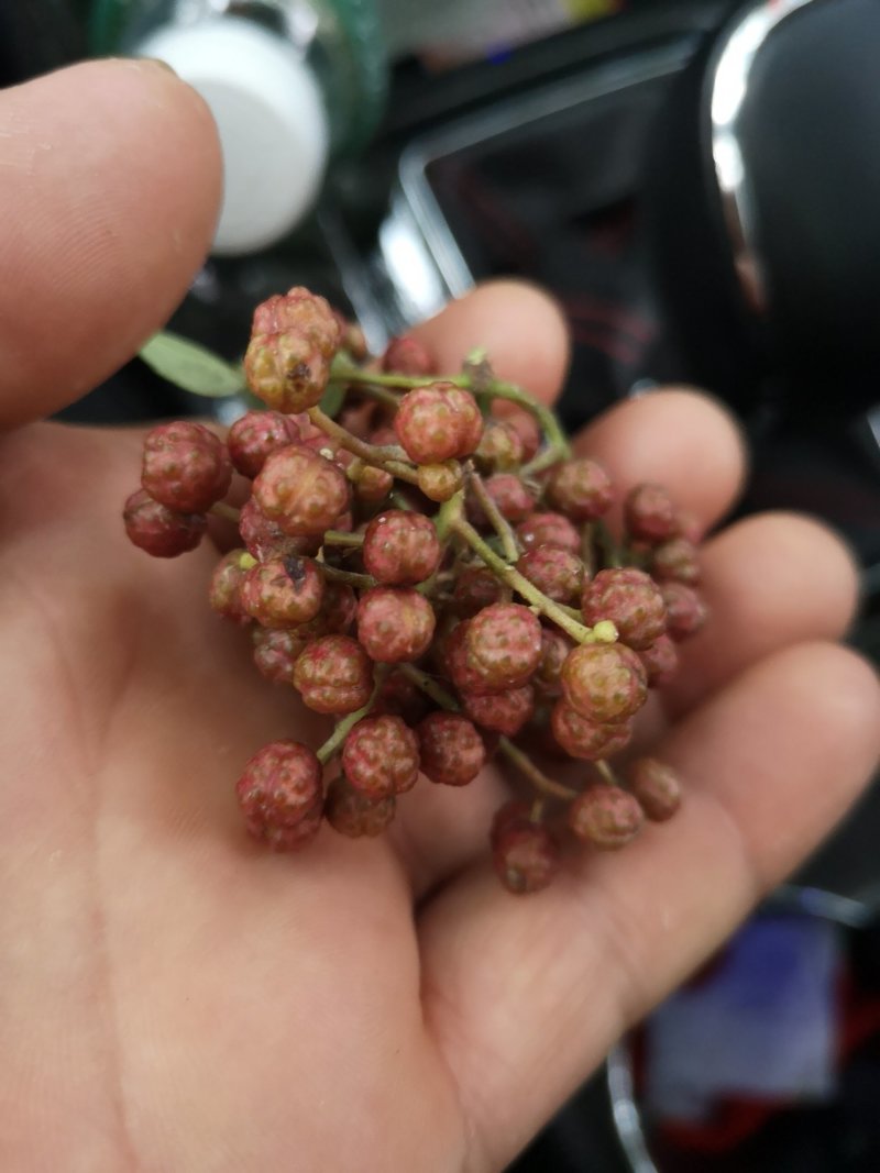 青皮花椒上市！