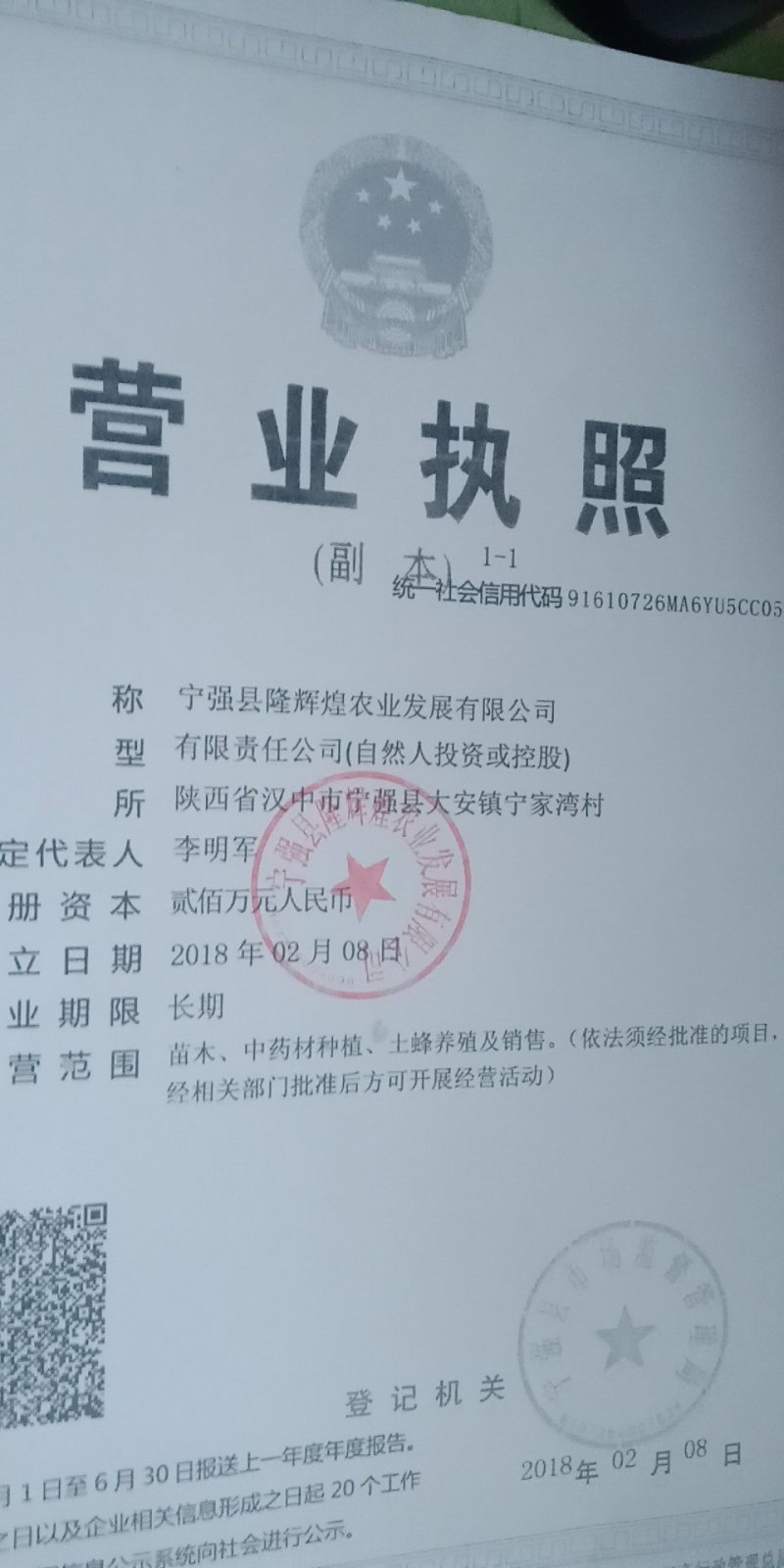 陕西省隆辉煌农业发展有限公司毛叶山桐子种苗。