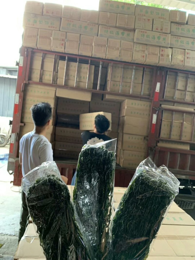 财福旺海带丝，质量好，可以凉拌，地摊江湖展会产品