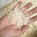 【一斤包邮】皂角米又名雪莲子组合装