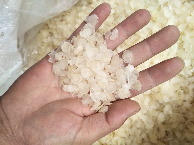 【一斤包邮】皂角米又名雪莲子组合装