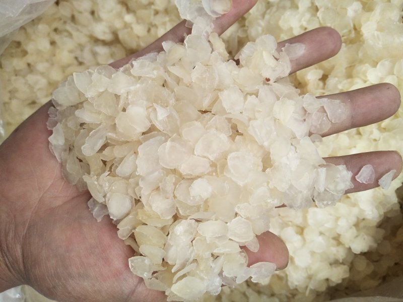 【一斤包邮】皂角米又名雪莲子组合装