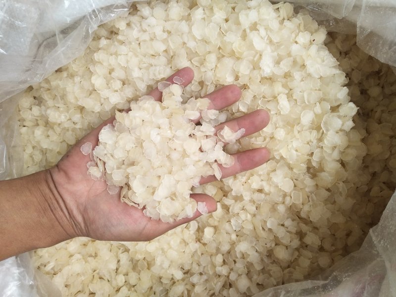 【一斤包邮】皂角米又名雪莲子组合装
