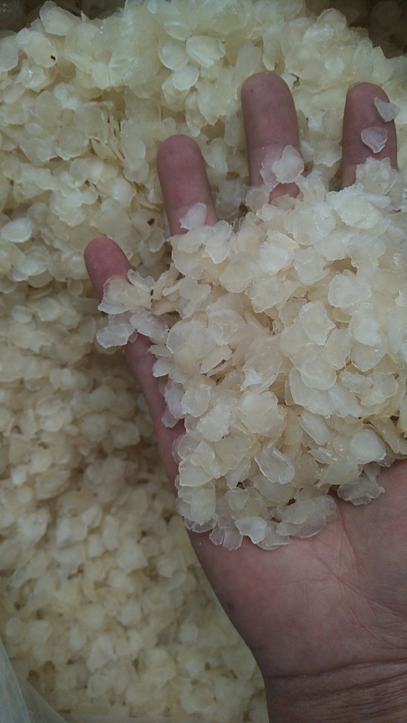 【一斤包邮】皂角米又名雪莲子组合装