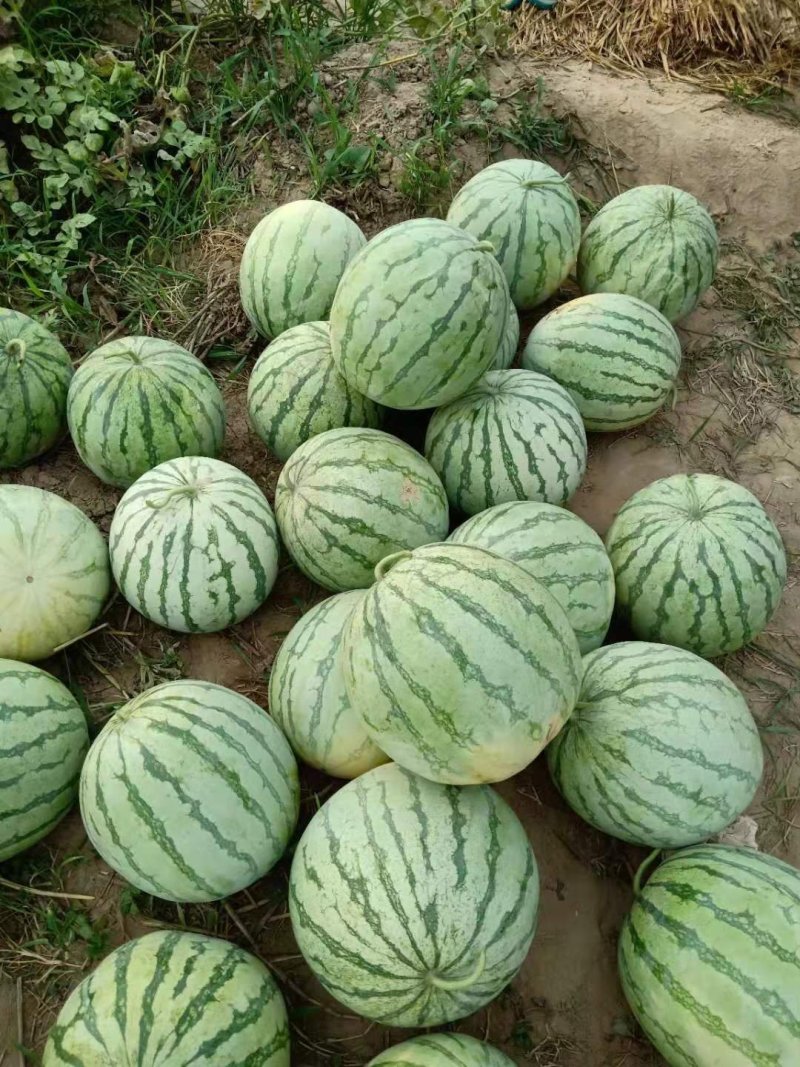 不嫁结西瓜，