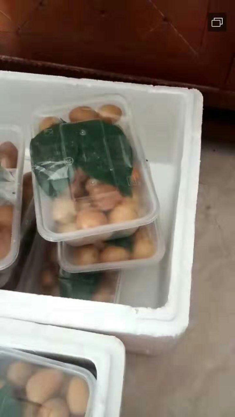 优质鸡心黄皮果，无核黄皮果