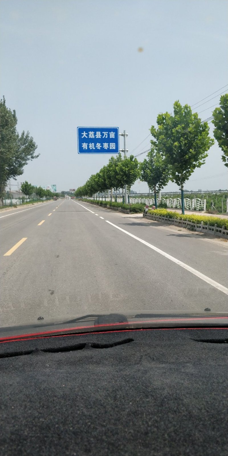 【大量现货】电商对接陕西大荔冬枣5斤大果大量供货可开票