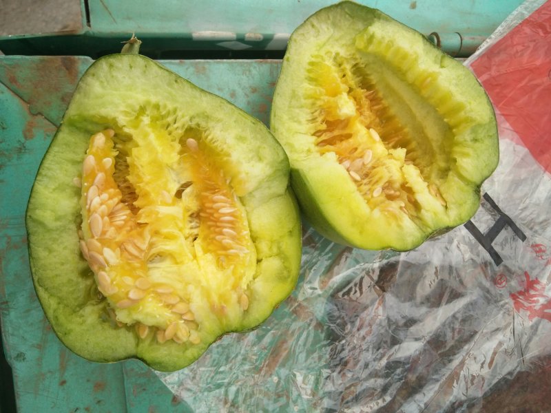 红沙沟甜瓜大量上市中