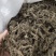 地胆头干货新货地胆头地胆头无硫磺