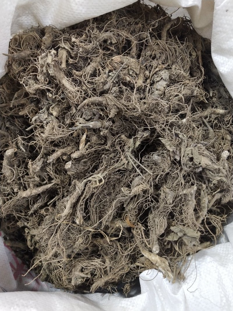 地胆头干货新货地胆头地胆头无硫磺