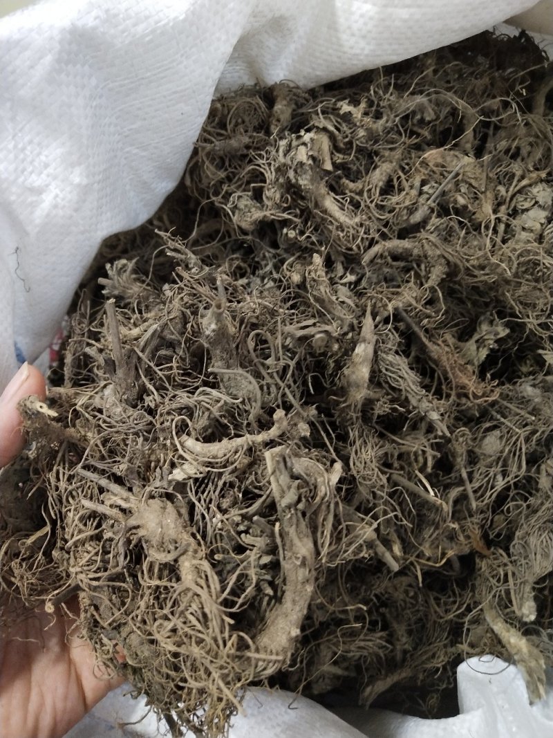 地胆头干货新货地胆头地胆头无硫磺