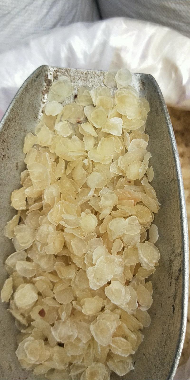 雪莲子皂角米供应上千种中药材