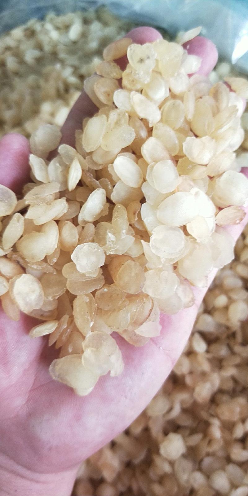 雪莲子皂角米供应上千种中药材