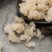 优质雪燕拉丝雪燕天然雪燕实物拍摄
