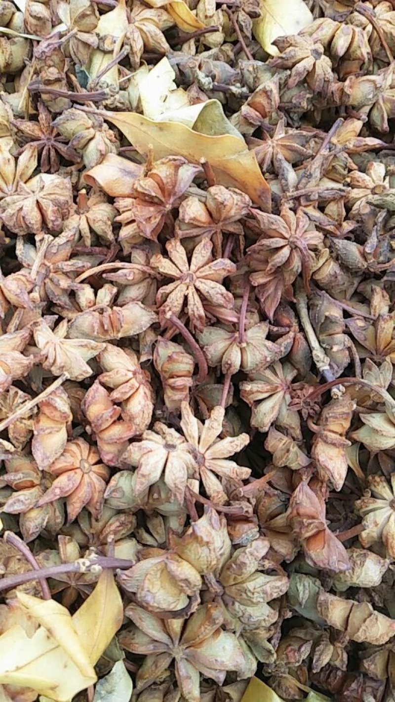 大红八角新货每市斤二十