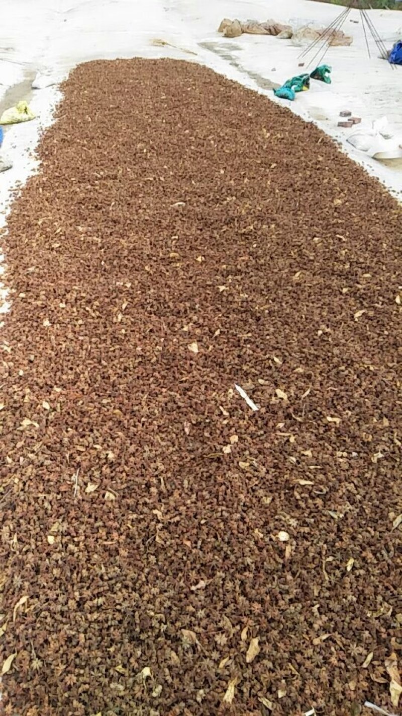 大红八角新货每市斤二十