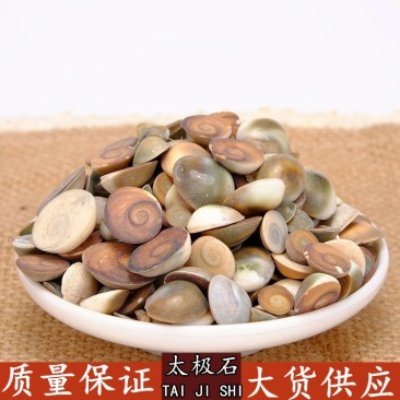 太极石甲香供应上千种中药材批发零售量大从优