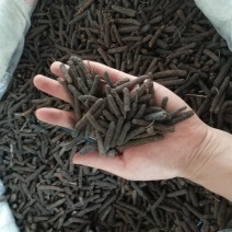 振兴药材批发供应毕拨规格齐全产地直供一手货源全国发货