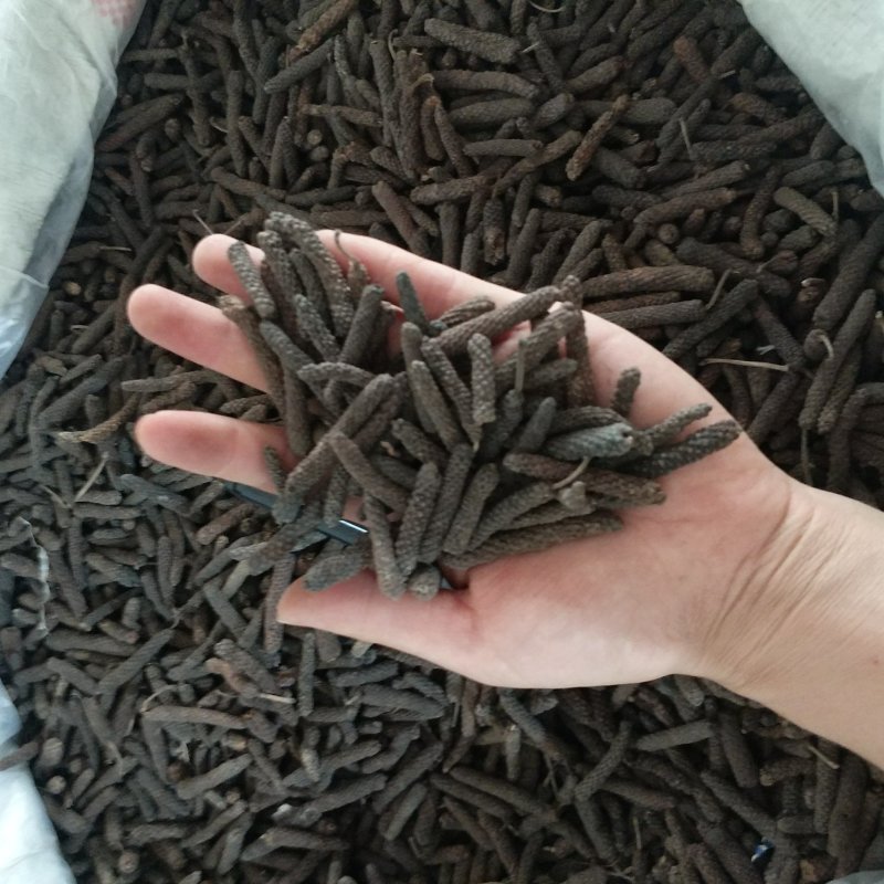 振兴药材批发供应毕拨规格齐全产地直供一手货源全国发货