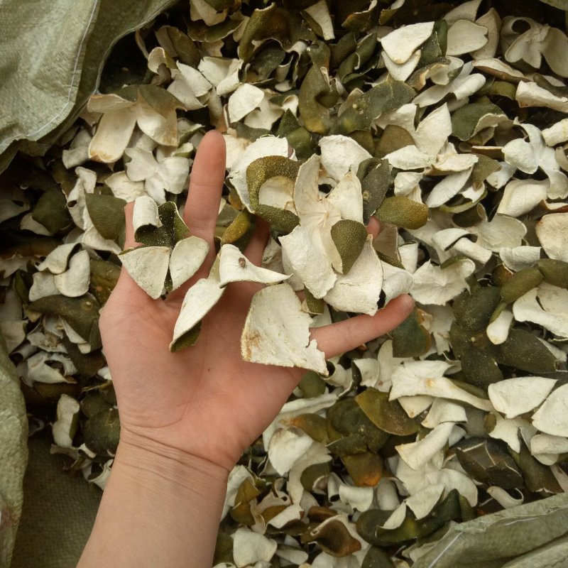 青皮四花青皮供应上千种中药材批发零售量大从优
