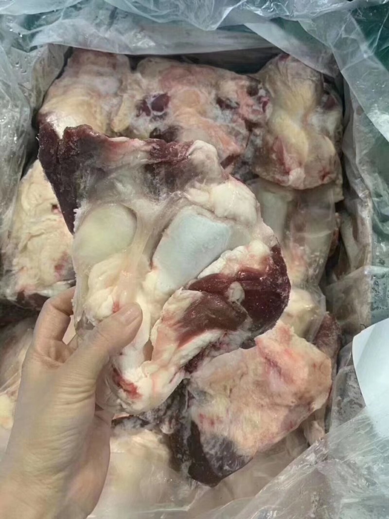 牛窝骨，肉多，筋多，个头大