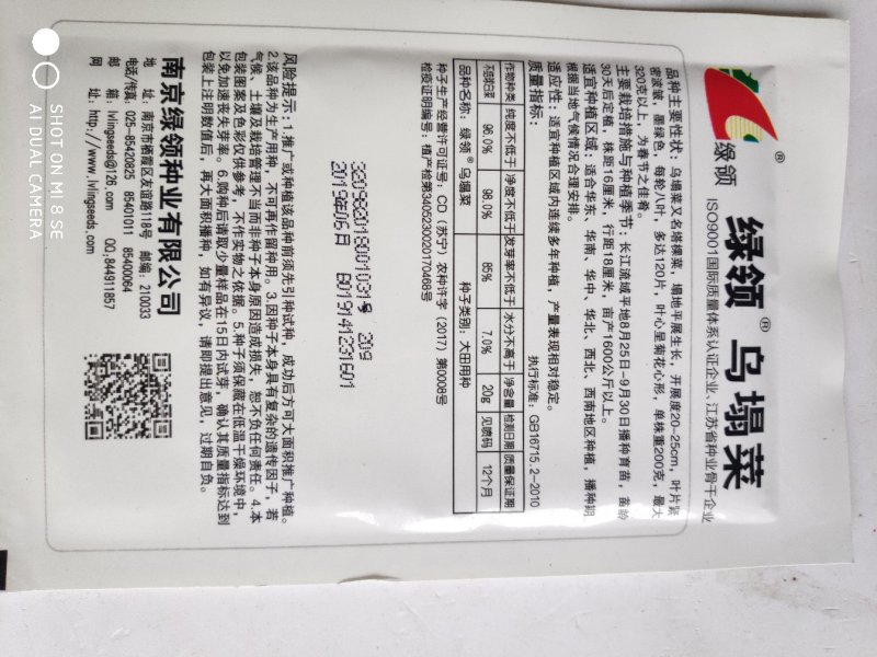 白菜种子一绿领乌塌菜种子