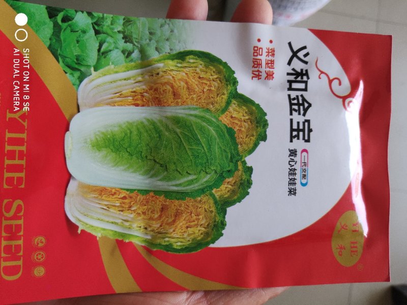 白菜种子义和宝宝娃娃菜种子