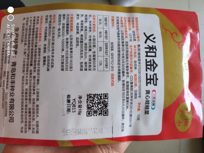 白菜种子义和宝宝娃娃菜种子