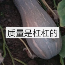 红薯