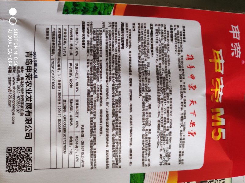 大白菜种子申荣5号大白菜种子