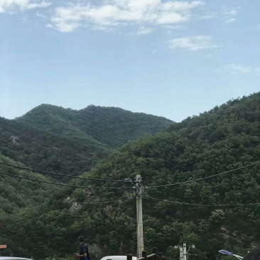 求租大连10亩土地