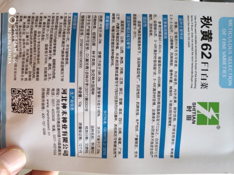 大白菜种子秋黄62大白菜种子