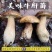 小金县美味野生牛肝菌2斤装顺丰冷链包邮
