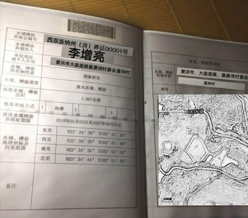 出售大规格草鱼苗