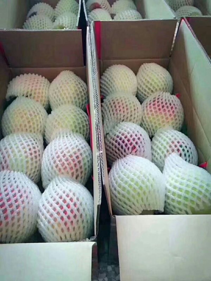鹰嘴桃，一件代发，良心价格，产地直发，包邮。