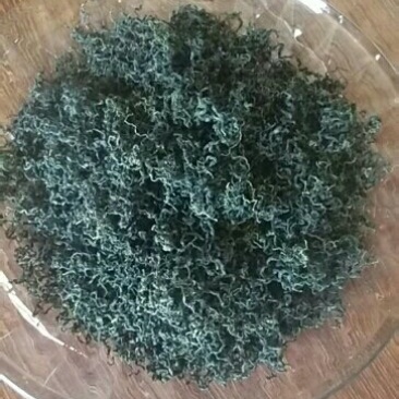 绞股蓝